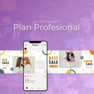 Plan Profesional